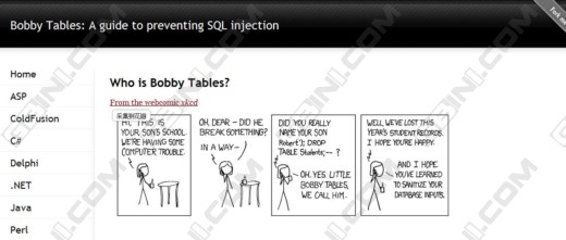 辅佐你有用防止SQL Injection抨击袭击 - bbobby-tables.com